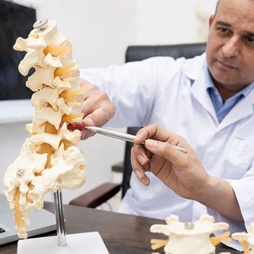 Lifestyle & Preventive Spine Care