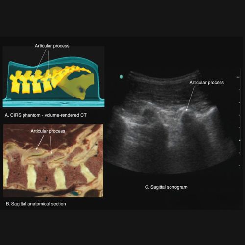 Empathy & Hospitality